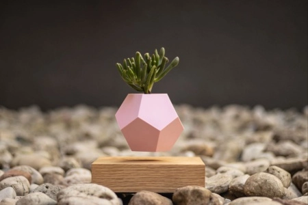 Чехол для левитирующего кашпо Lyfe