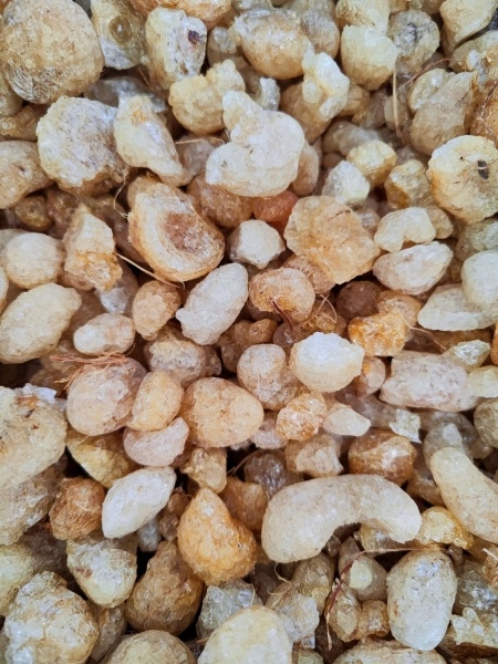 Декоративные камни